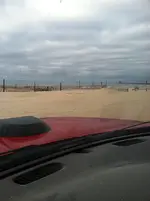 beach 001.webp