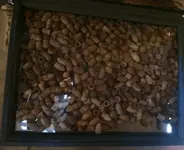 untitled.webp