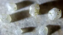 Diamonds_1.webp