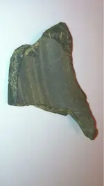image-3112320198.webp