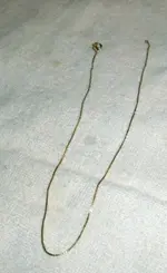 DSC00037.webp