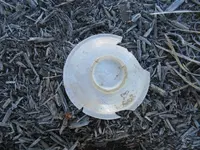 delftware2.webp
