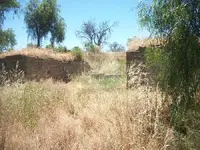 100_2088.webp