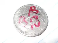 DSCN0224.webp