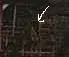 image-3559699824.webp