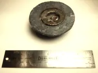 mystery object 4b.webp