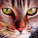 profile_picture_by_vianaarts-d4njpqt.webp profile_picture_by_vianaarts-d4njpqt.webp