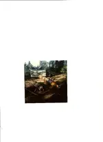 Scan_Pic0019.webp