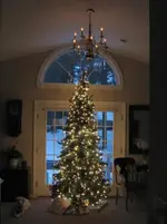 OurChristmasTree.webp OurChristmasTree.webp