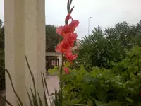 31052012035.webp