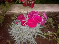 31052012037.webp