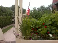 31052012036.webp