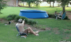 271370.gif