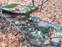 image-574447084.webp