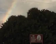 McLarty Rainbow 02.webp