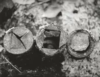 Scan0069.webp