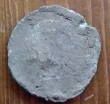rosette2.webp