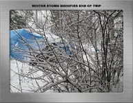 WINTER STORM (BB).webp