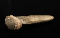 Tooth 3.webp