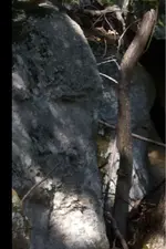 image-3396200096.webp
