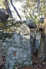 image-521351622.webp