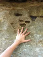 image-335589411.webp