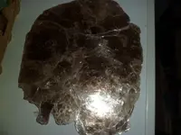 003rj.webp