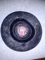 horn button.webp