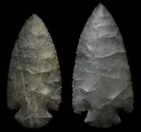 Moline%20Doves.webp