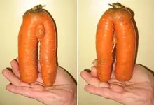 mutantcarrot.webp