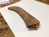 brass object from beach 4.webp