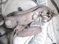 horsegear_US_accouterment-rosette_three-tabs_on-harness-with-reinguides_view6_Ebay_403259957.webp