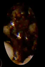 quartz_veinrock1LGcrop2.webp