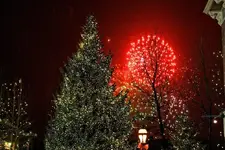 12-15f.webp
