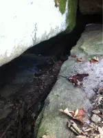 image-4146635815.webp