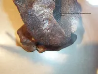 Sacrum marks.webp