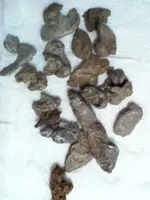 image-3615082886.webp
