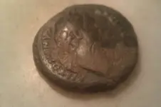 IMAG0320.webp