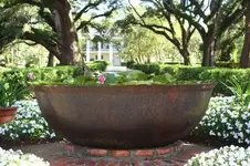 old-pot-used-to-boil.webp
