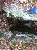 image-1681445094.webp