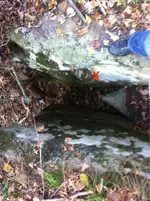 image-1681445094-yomo.webp
