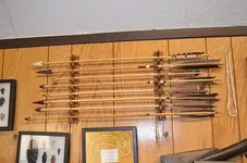 My collectionD.webp My collectionD.webp