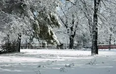 DSCN6286.webp