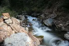 timg_3171.webp