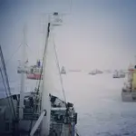 Heavy traffic in the frozen baltic sea.webp