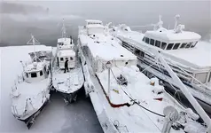 more winter.webp