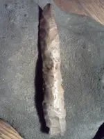 bone drill.webp