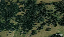 LL90.webp