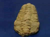 DSCF0567.webp