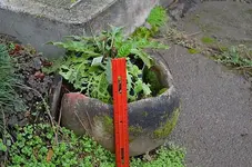 My collectionG1.webp